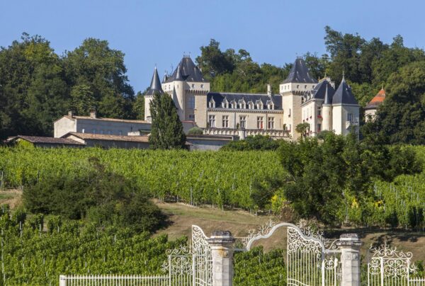International Wine Center